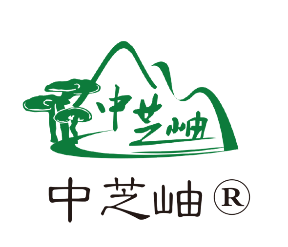 中芝